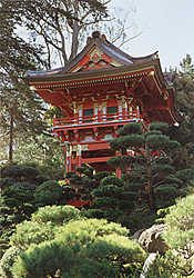 Japanese Tea Garden